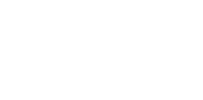TSL Group Logo